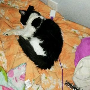 Meet your Posher, Joy